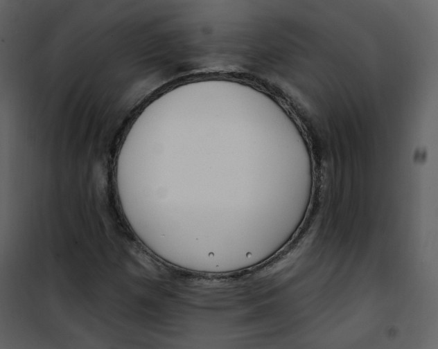X0000100781257200807171434