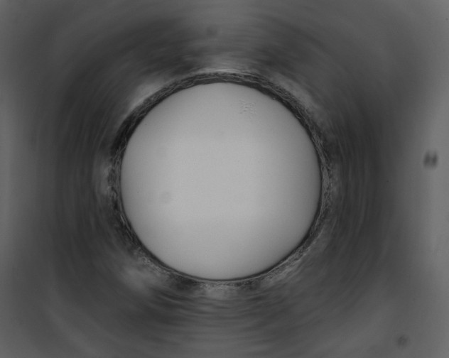 X0000100781258200807171434