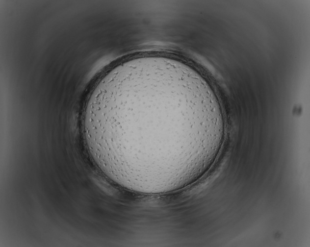 X0000100781259200807171434