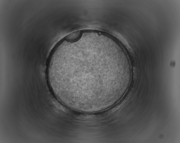 X0000100781260200807171434