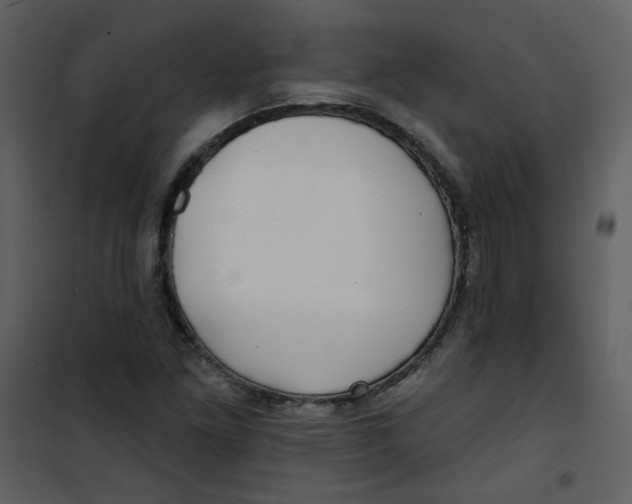 X0000100781261200807171434