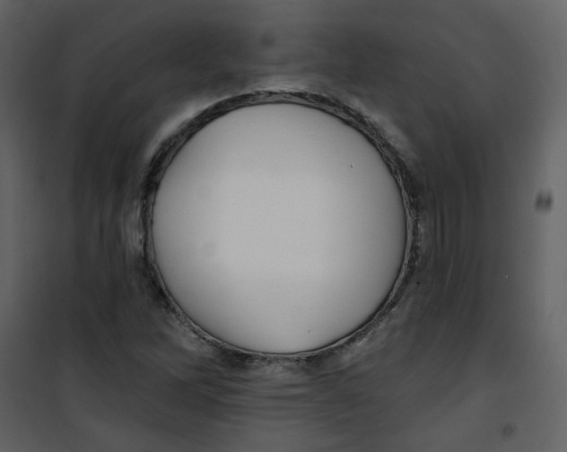 X0000100781262200807171434