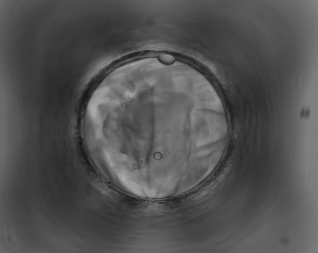 X0000100781263200807171434