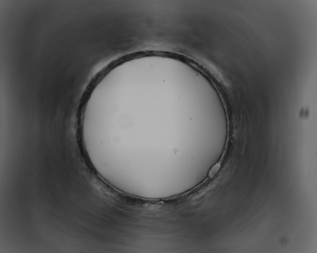 X0000100781264200807171434