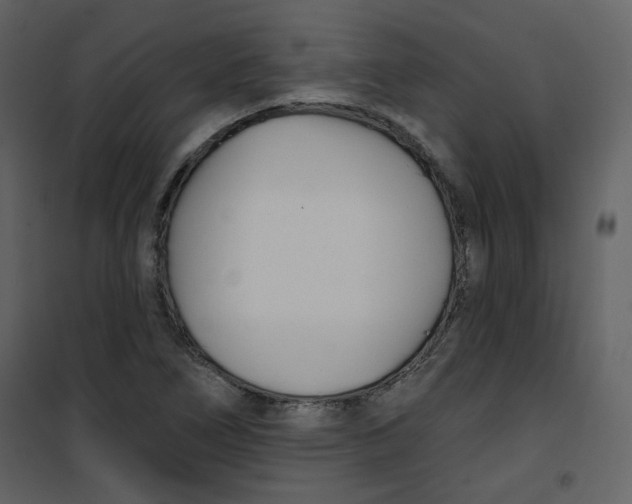 X0000100781266200807171434