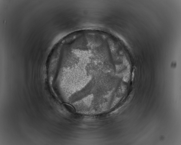 X0000100781267200807171434