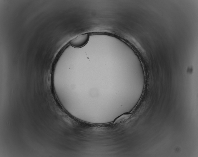 X0000100781268200807171434