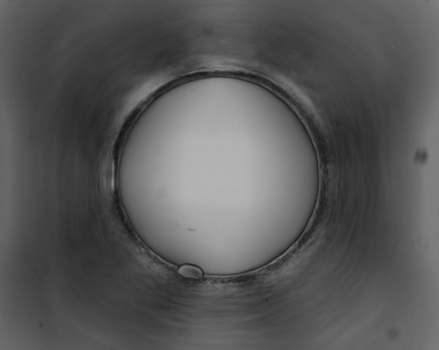 X0000100781269200807171434