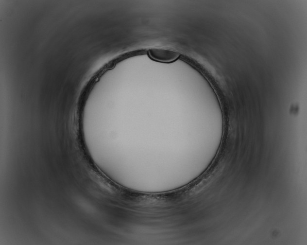 X0000100781270200807171434