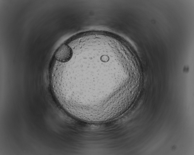 X0000100781271200807171434
