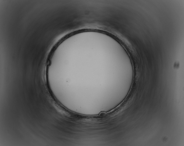 X0000100781272200807171434
