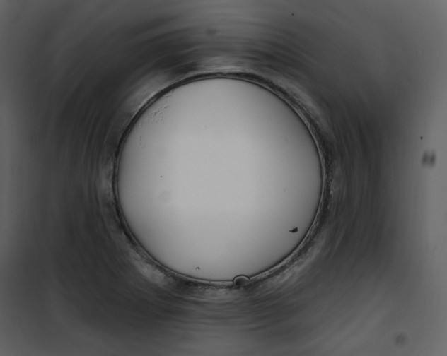 X0000100781273200807171434