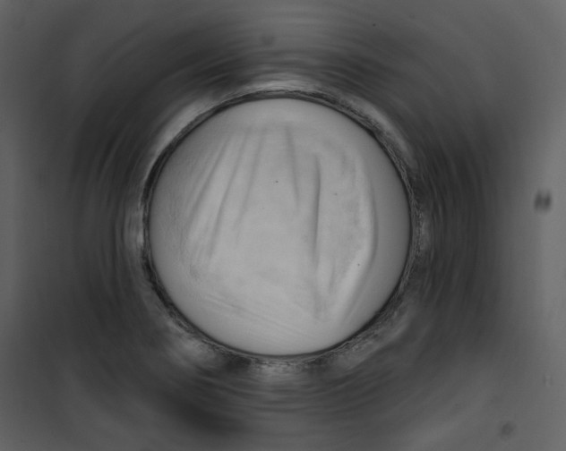 X0000100781274200807171434