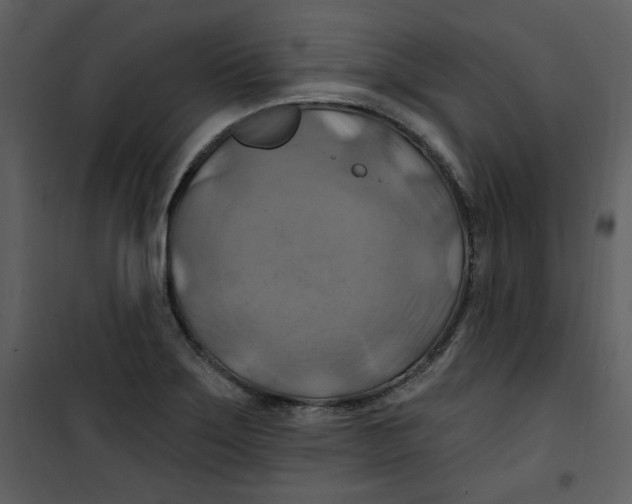 X0000100781275200807171434