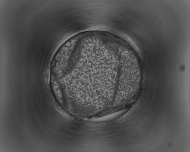 X0000100781276200807171434