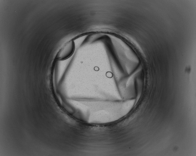 X0000100781277200807171434