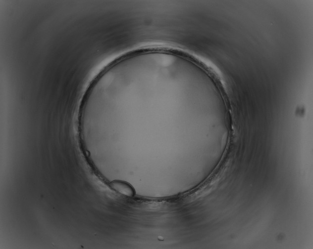 X0000100781279200807171434