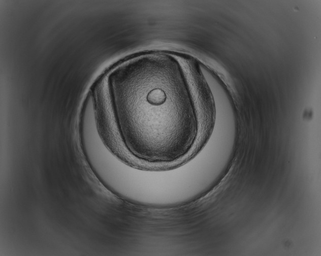X0000100781280200807171434