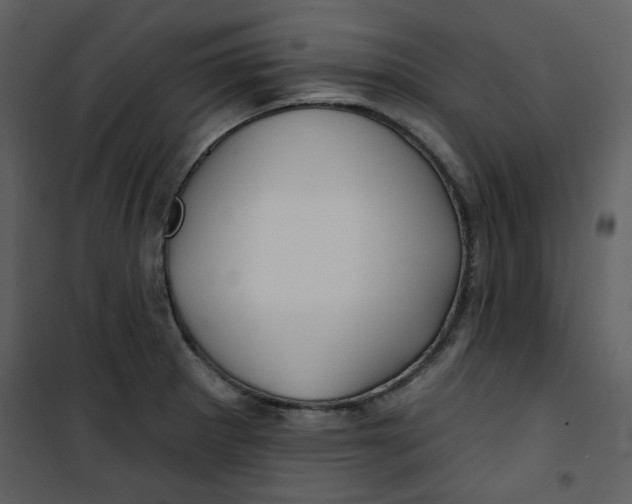 X0000100781281200807171434