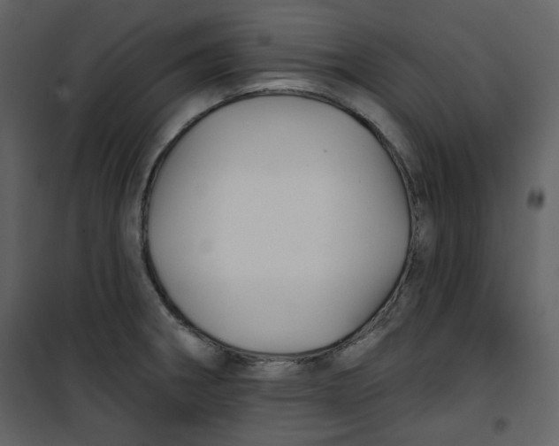 X0000100781282200807171434