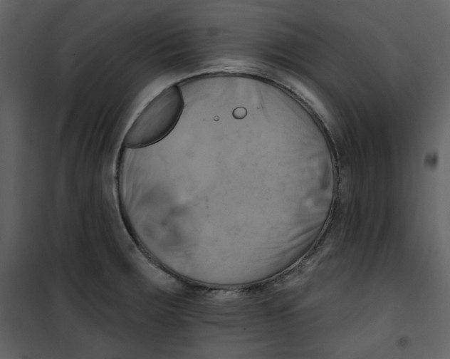 X0000100781283200807171434