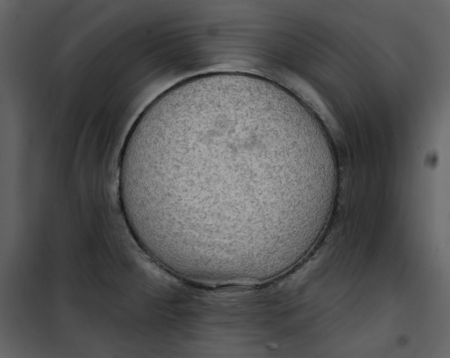 X0000100781284200807171434