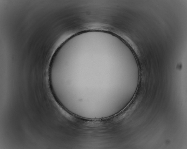X0000100781285200807171434