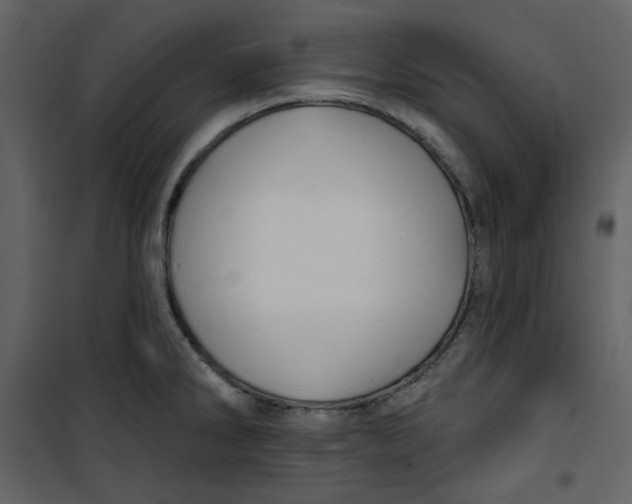X0000100781286200807171433
