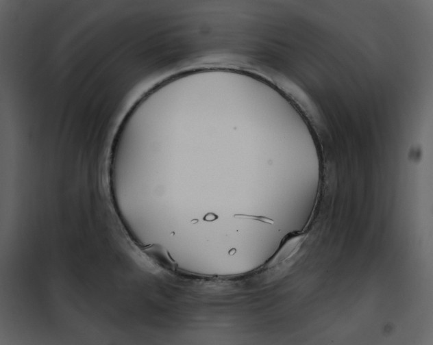 X0000100781288200807171433