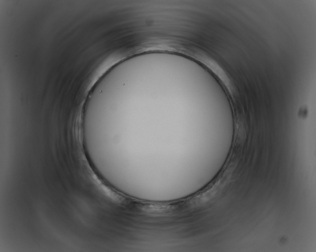 X0000100781290200807171433