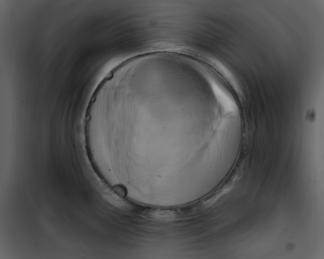 X0000100781291200807171433