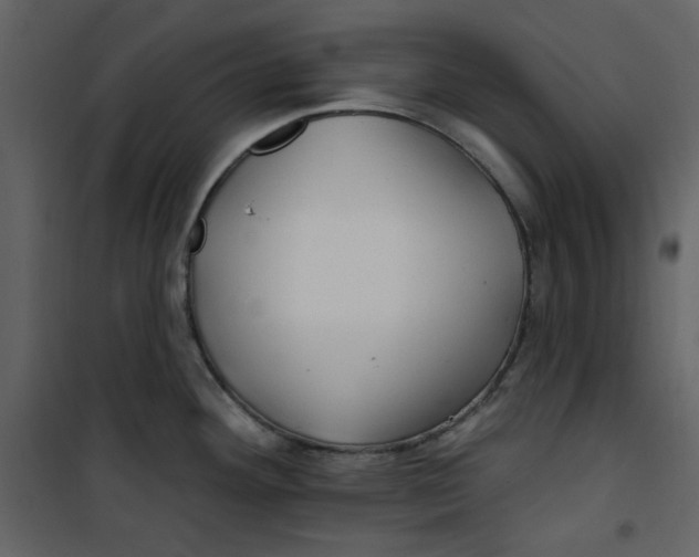 X0000100781292200807171433