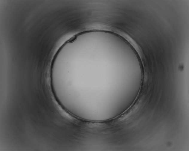 X0000100781293200807171433