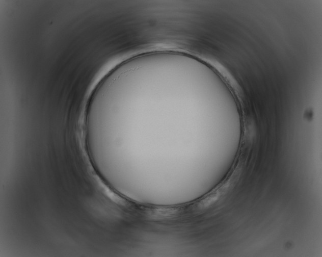 X0000100781294200807171433