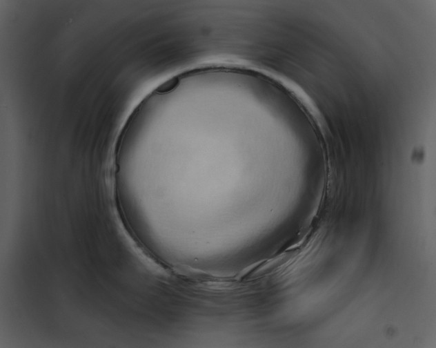 X0000100781295200807171433