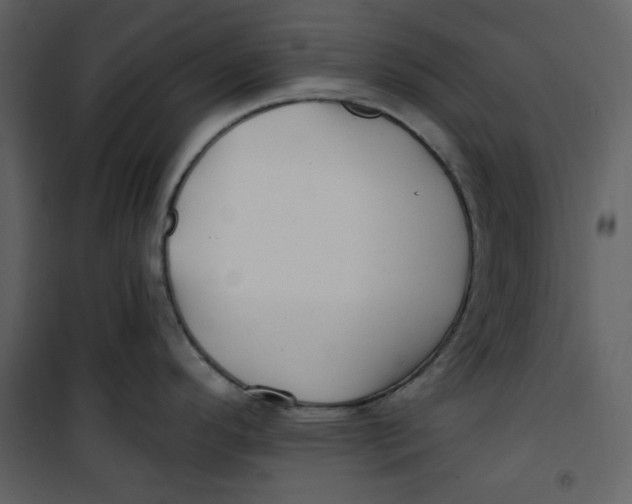 X0000100781296200807171433