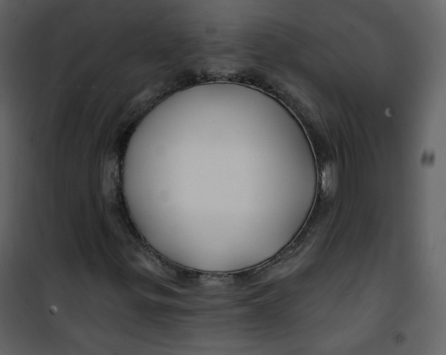 X0000100781299200807171433