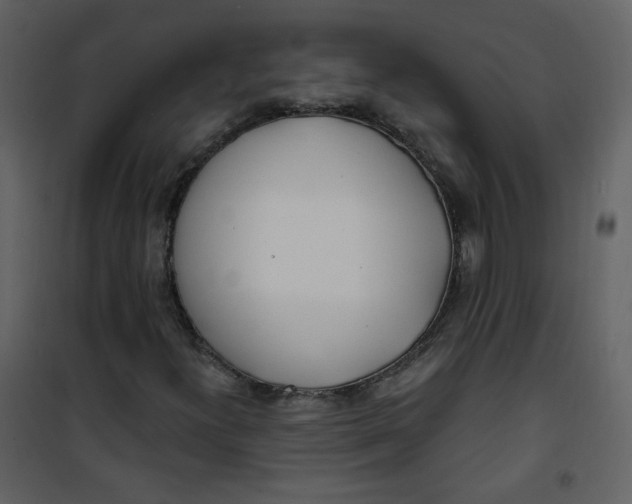 X0000100781300200807171433