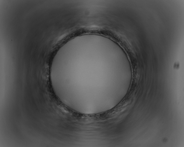 X0000100781301200807171433