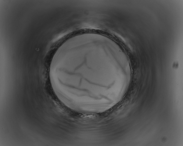 X0000100781303200807171433