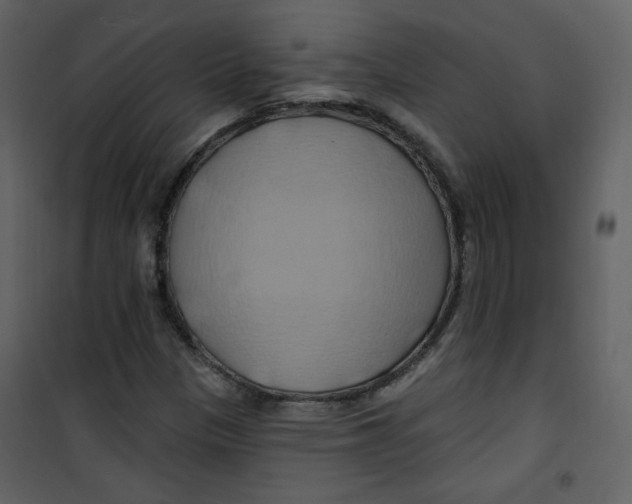 X0000100781305200807171433