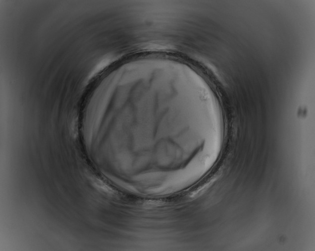 X0000100781306200807171433