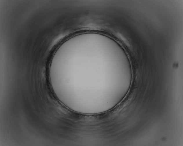 X0000100781307200807171433