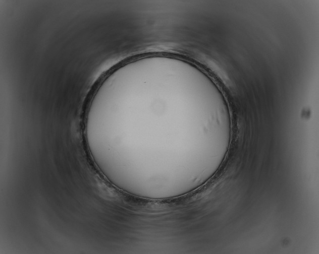 X0000100781308200807171433