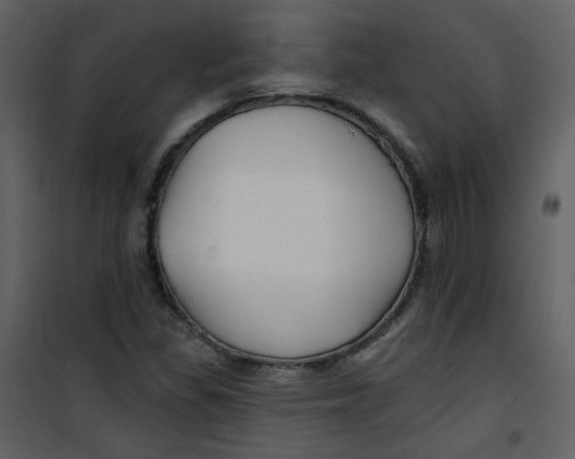 X0000100781309200807171433