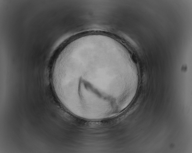 X0000100781310200807171433