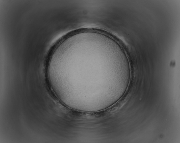 X0000100781311200807171433
