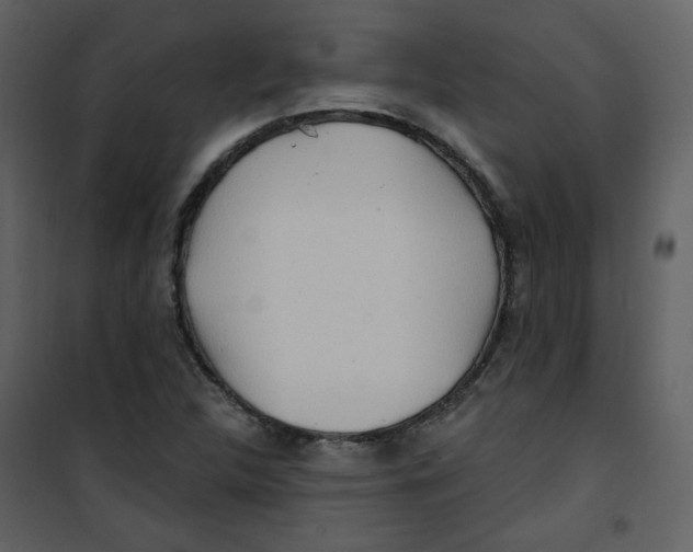 X0000100781312200807171433