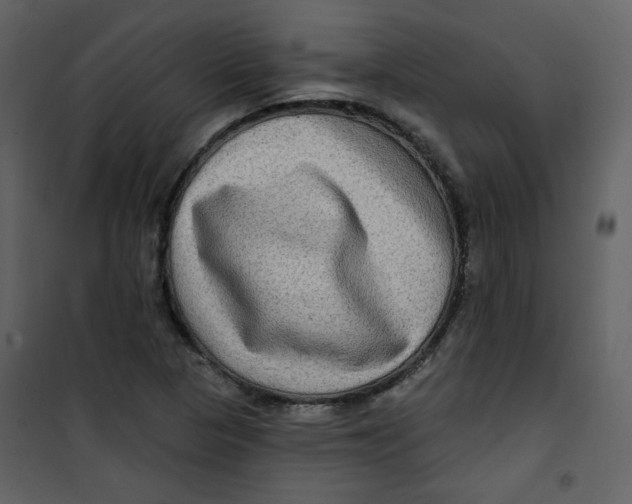 X0000100781313200807171433