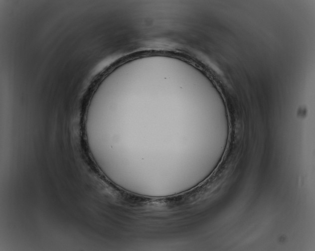 X0000100781315200807171433